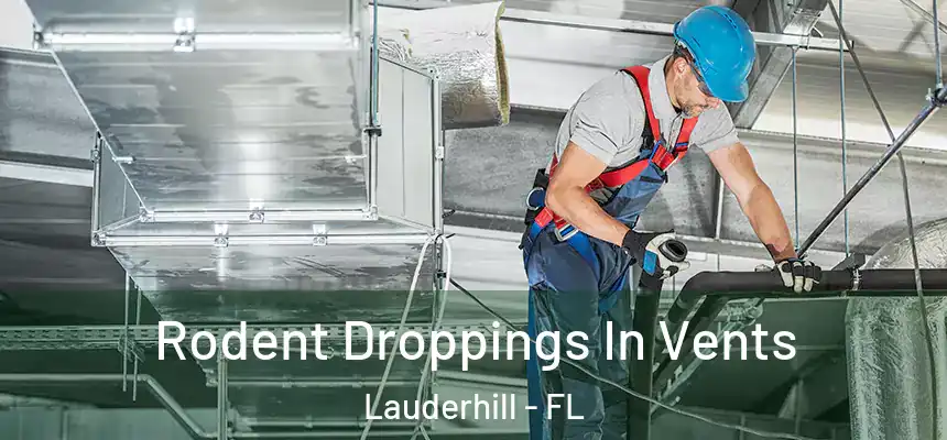  Rodent Droppings In Vents Lauderhill - FL