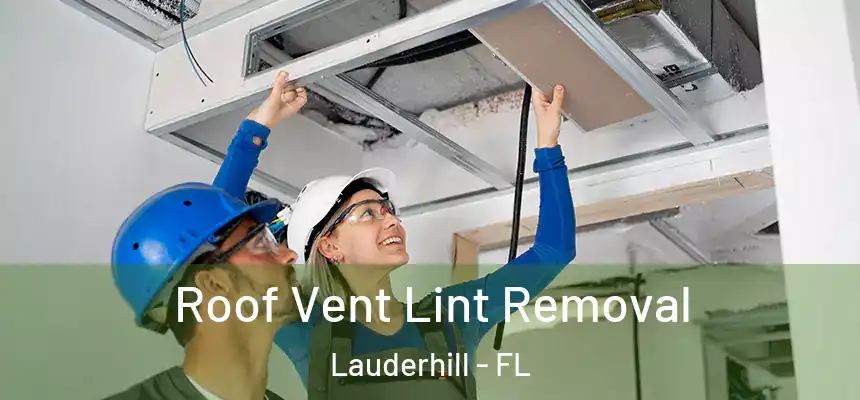 Roof Vent Lint Removal Lauderhill - FL